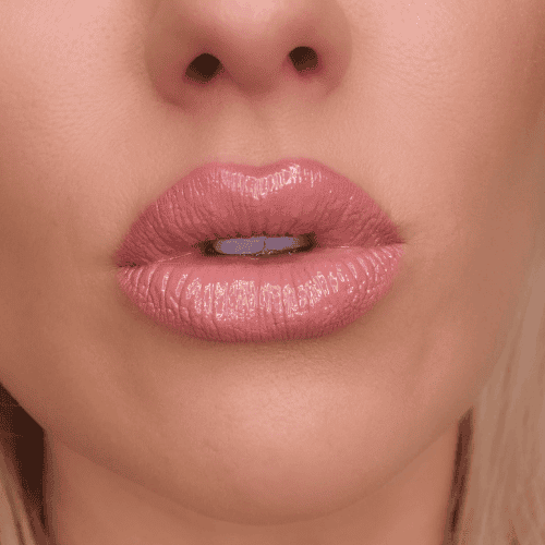 Fashionably Nude Lip Combo